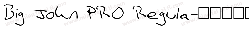 Big John PRO Regula字体转换